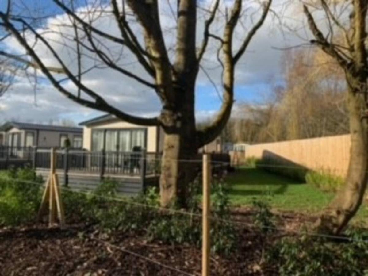 Captivating Bluebell Lodge 2-Bed Cotswolds Caravan Cirencester Eksteriør bilde